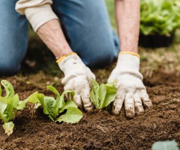 Gardening